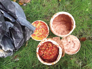 ;бϷ10ȥˣϴݻûи˵