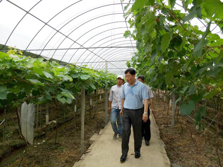 刘奇蹲点调研环象山港区域 晚上住在乡村