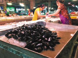 宁波嵊泗小海鲜_嵊泗：科技养海,涅槃重生