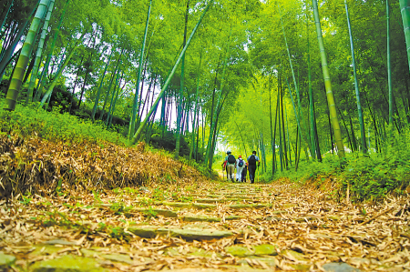 慈溪龙山方家河头村、潘岙村的两山实践 _中