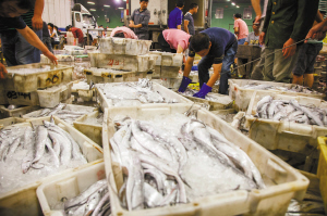 開一家海鮮_網友吐槽青島一家海鮮菜館當地物價局開出5000元的罰單
