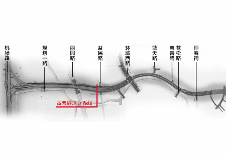 时间的玫瑰在今天绽放