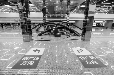 时间的玫瑰在今天绽放