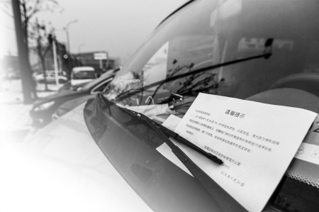 时间的玫瑰在今天绽放