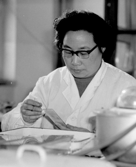 屠呦呦:只想老老实实做学问 把自己的事情做好