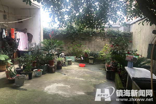 骆驼街道助村民打造绿色庭院