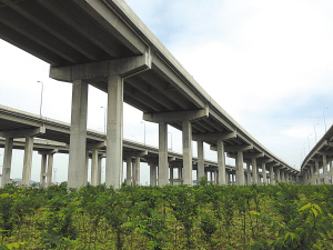 脏乱违建变身苗圃