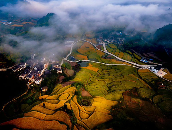 一等奖《大堰美景》-(叶彦良)