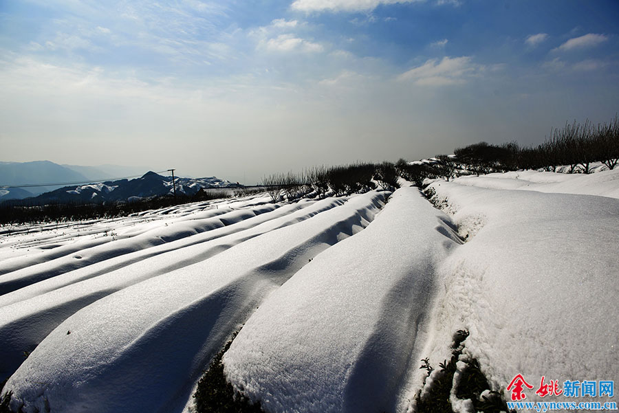 冬季到四明山 陪你去看雪