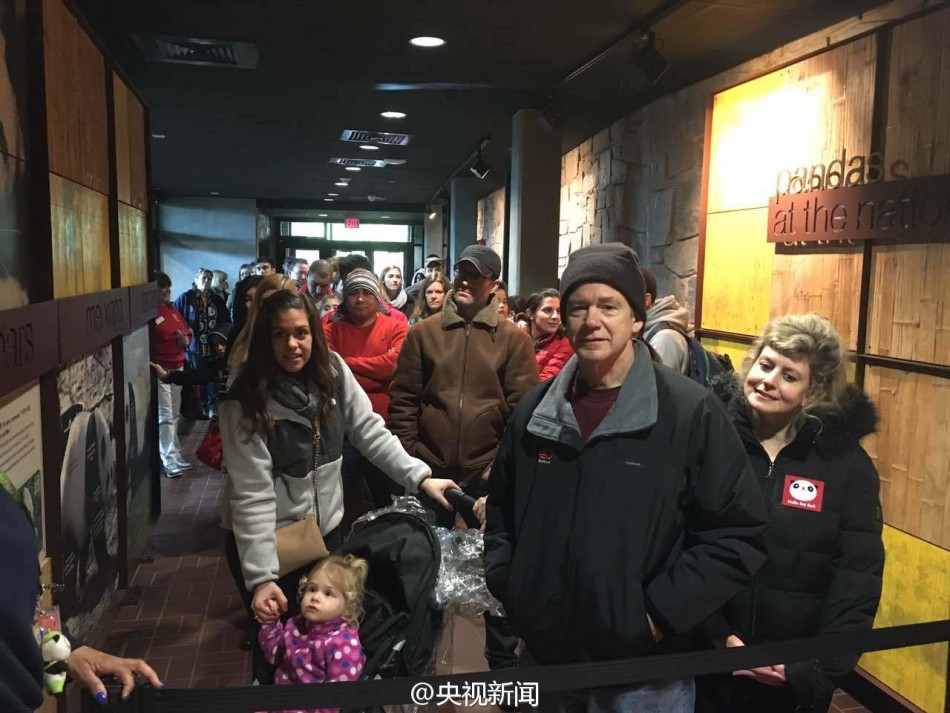 中国大熊猫宝宝贝贝在美首亮相遭围观_中国