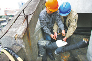 抗寒防冻走在前