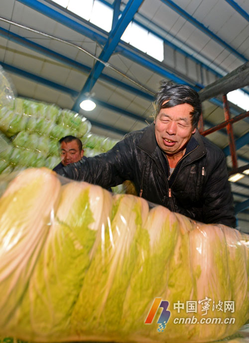 宁波蔬菜批发市场货足价稳_中国宁波网_民生