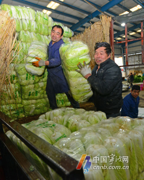 宁波蔬菜批发市场货足价稳_中国宁波网_民生