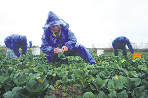 ���ն���