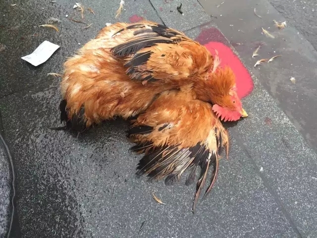 ���������ݻ�վǰ����ɱ�� ������Щ����Ҫ֪��