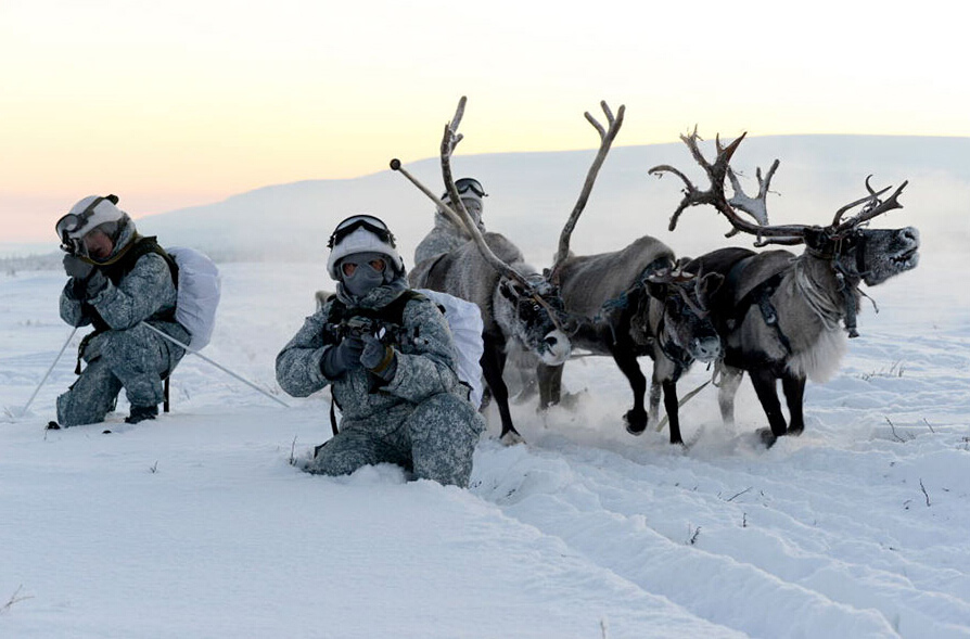 罗斯士兵在北极与鹿和雪橇犬一同演练_中国宁