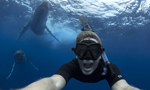 摄影师澳水域同两头巨鲸玩自拍