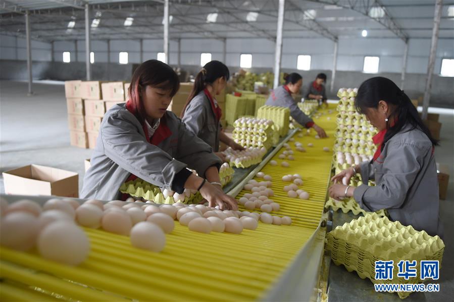 �����ƽ��ĸ��ʤȫ��С����������ʱ�俴���й����ġ�