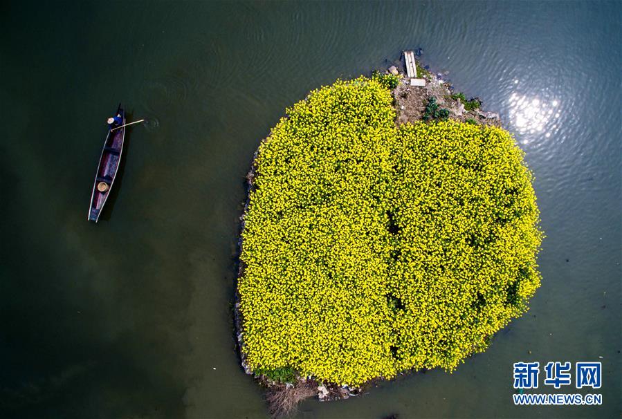 �����ƽ��ĸ��ʤȫ��С����������ʱ�俴���й����ġ�