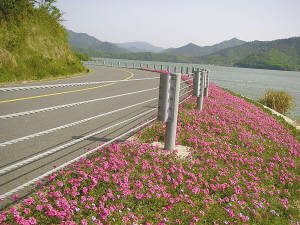 ��Ǯ�������Ӻ����Ρ�������Ҽ����ζȼ���