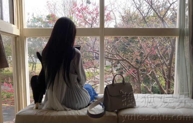 郭碧婷坐在沙发上看窗前的樱花盛开,长发及腰,抱着猫咪,画面十分唯美.