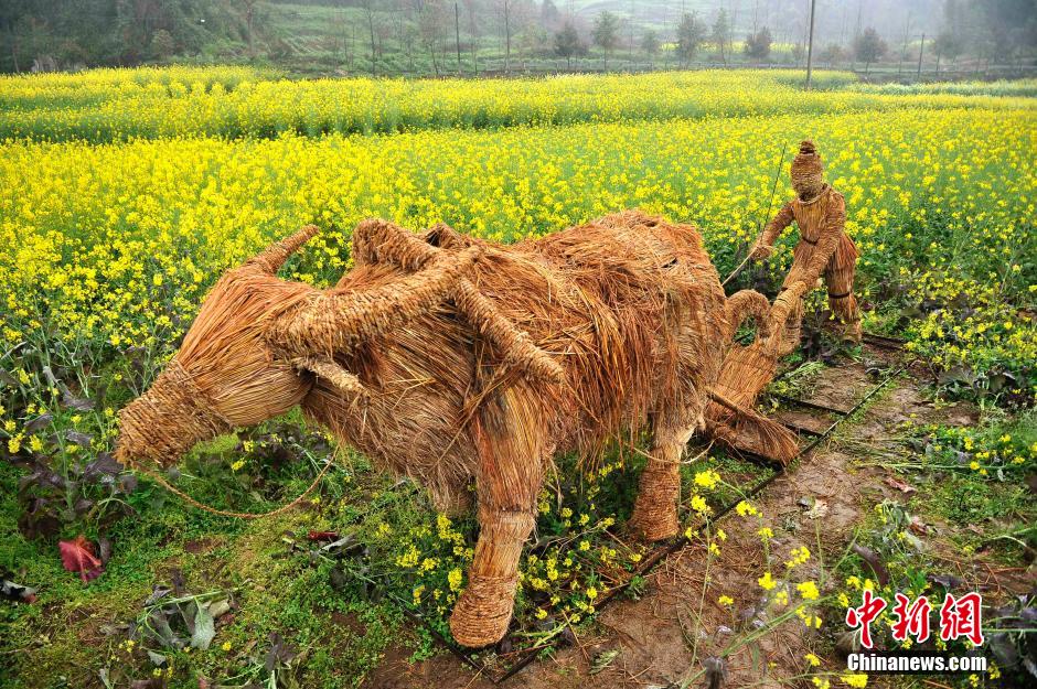 重庆一菜花地里摆放大型稻草动物吸眼球_中国
