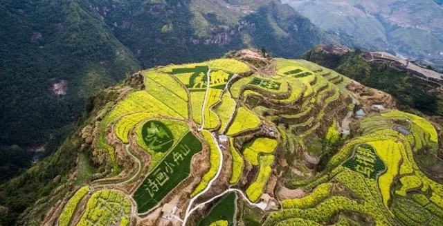青田小舟山乡