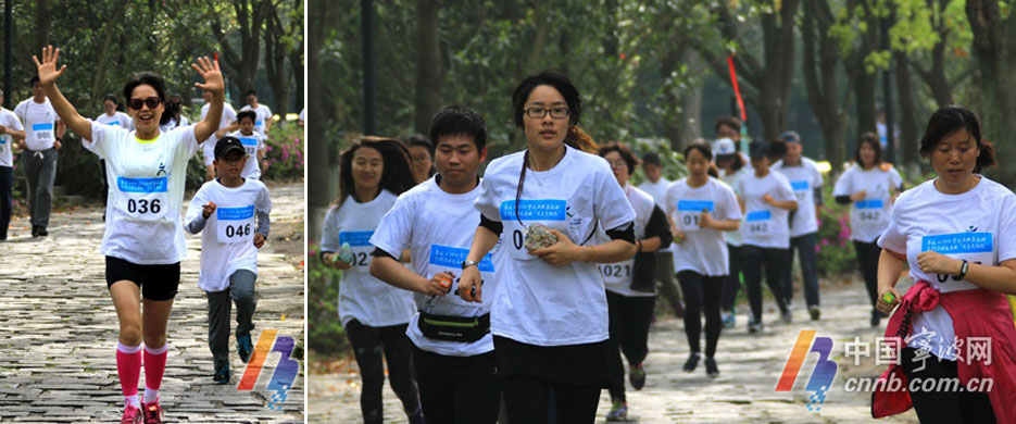 ɡ2016ɽϵл֮ȳǡֶܡ