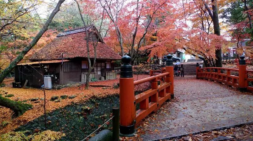 中国宁波网 新闻中心专题 专题稿件    奈良县(nara-ken),古称大和