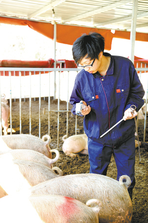 象山生猪生态养殖颠覆传统 打造现代循环农业
