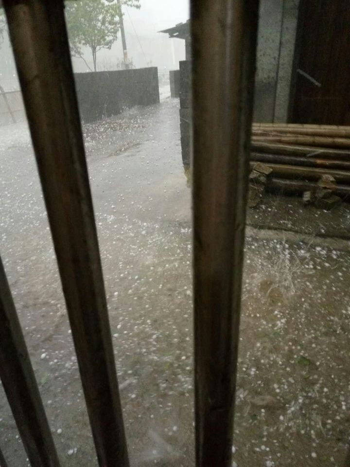 4月庆元下冰雹 最大颗粒堪比鸽子蛋-新闻中心