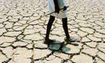 印度遭遇40年来最严重旱灾 政府用火车送水
