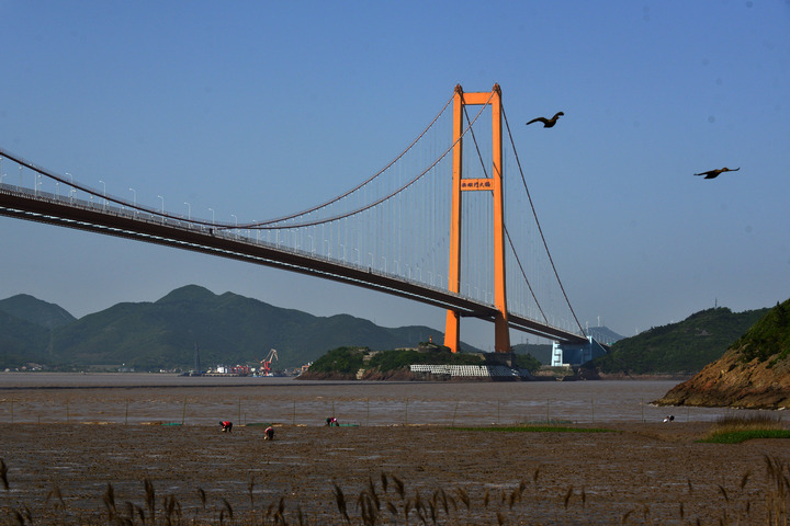 舟山跨海大桥之一西堠门大桥下的捡海人