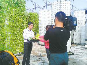 莫笑养猪种菜累 慈溪海归厂二代巧谱田园新曲