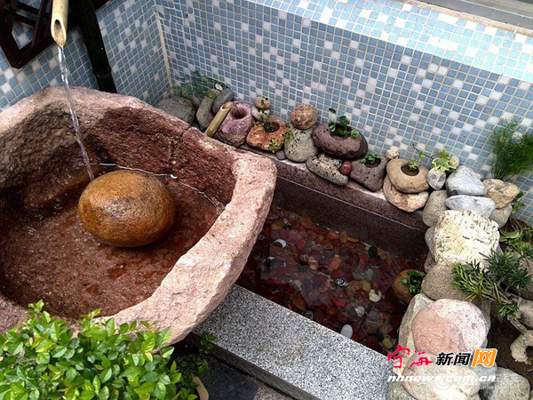 如此精致的小鱼池居然只花了300元