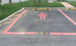 杭州现女司机专用停车位 有粉色标识面积更大