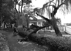 受台风影响宁波下周要退烧了