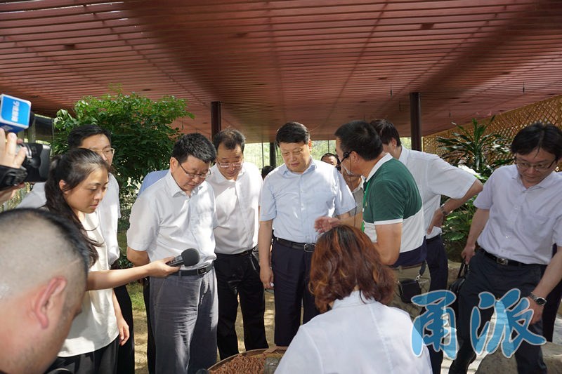 唐一军各县市区调研纪行 看看有哪些新期待新