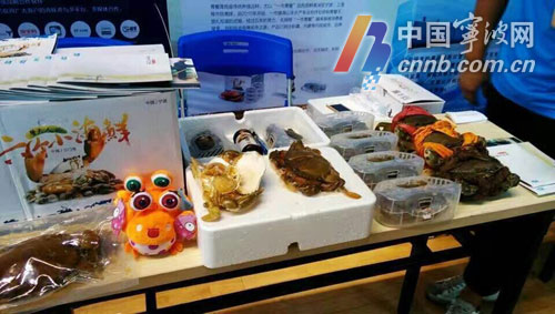 三代人四十年一只蟹 宁海 蟹大人 创业团队夺得