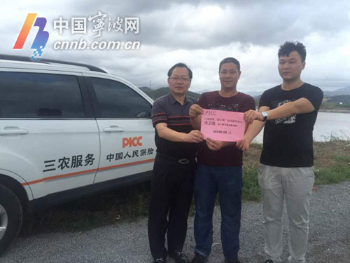 风过赔款到 宁波保险理赔速度跑过台风