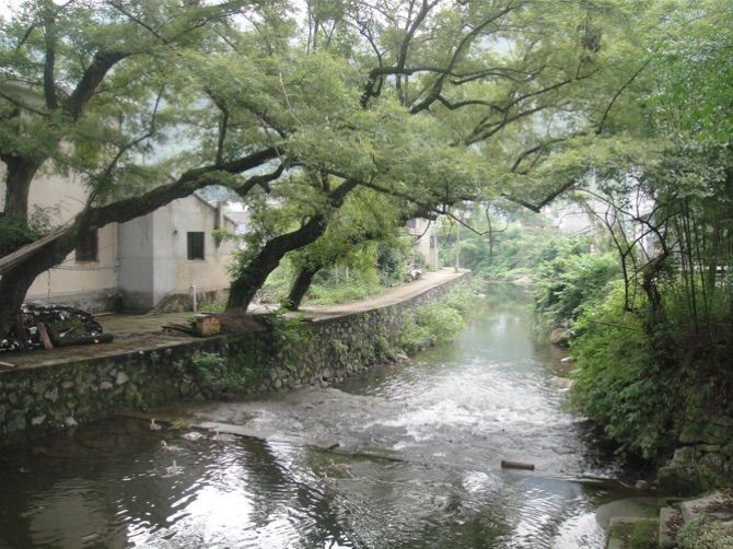 50.东钱湖城杨村