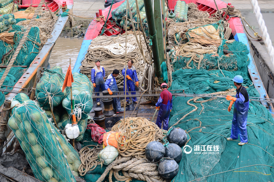 舟山:台风影响渔船提前回港