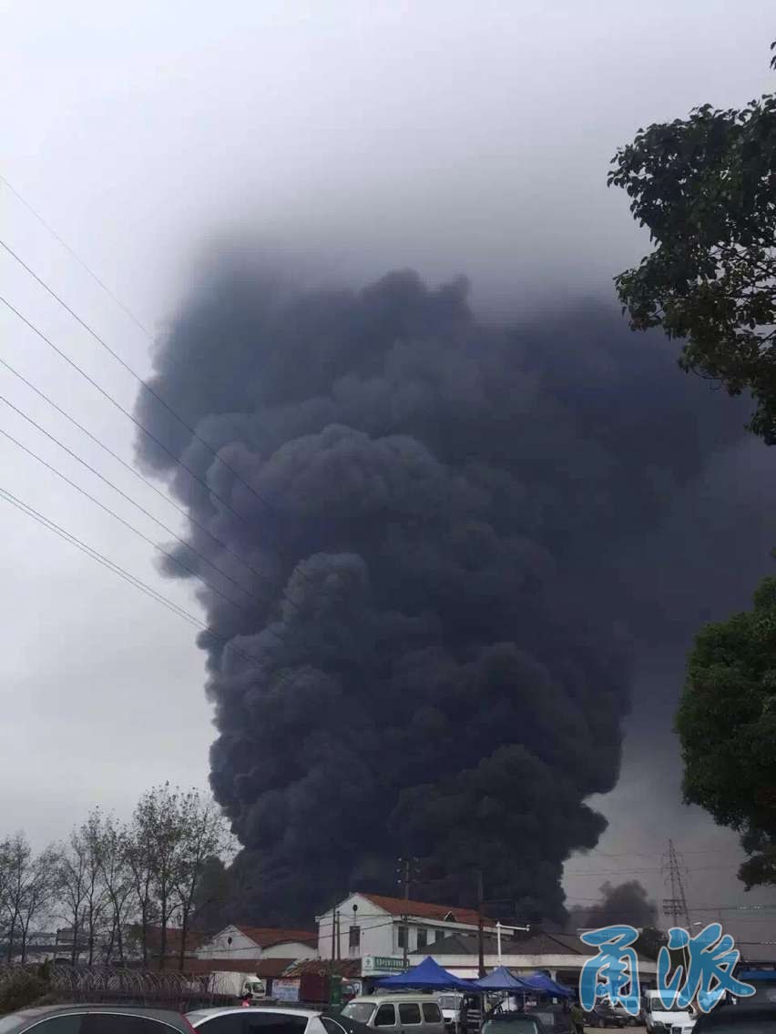 今天上午慈溪新浦镇一厂房突发大火 无人员伤