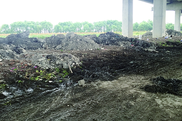 绕城高速澥浦段桥下偷倒频出现 村民忧心