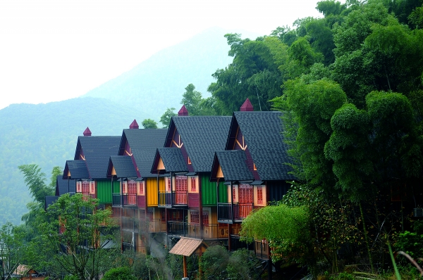 太会玩!集装箱民宿掩映竹林间