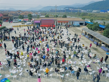 鄞州:千人甲鱼宴上百只甲鱼一锅煮 大补啊