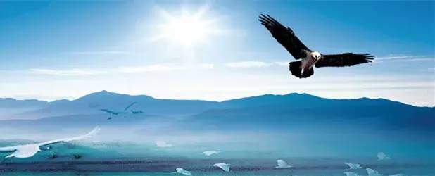 长阳科技:一片薄膜填补国内光学基膜市场空白