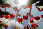 长沙舞者“花海”中跳芭蕾