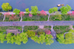 春色满园西湖景