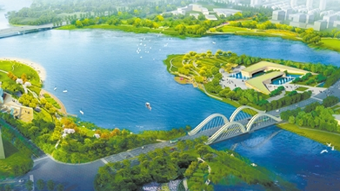 宁波南部滨海新区： 建设生态新城 打造湾区明珠
